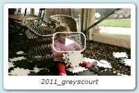 2011_greyscourt