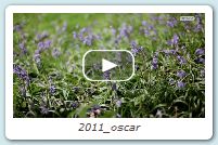 2011_oscar