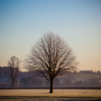 Henley-on-Thames - 15 January 2012