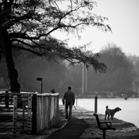 Henley-on-Thames - 15 January 2012