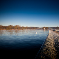 Henley-on-Thames - 15 January 2012