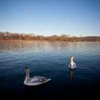 Henley-on-Thames - 15 January 2012