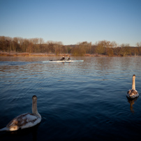 Henley-on-Thames - 15 January 2012