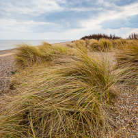 Dunwich - 10 March 2012