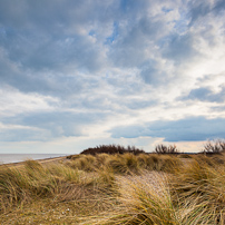 Dunwich - 10 March 2012