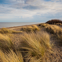 Dunwich - 10 March 2012