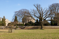 Ickworth House - 11 March 2012