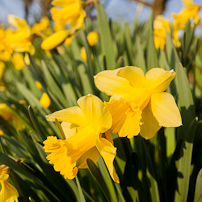 Greys Court - 24 March 2012