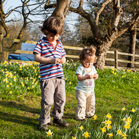 Greys Court - 24 March 2012