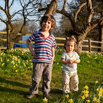 Greys Court - 24 March 2012