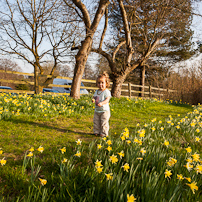 Greys Court - 24 March 2012