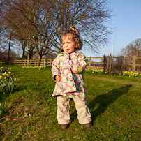 Greys Court - 24 March 2012