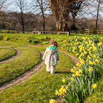 Greys Court - 24 March 2012