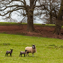 Berrington Hall - 06 April 2012