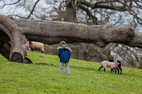 Berrington Hall - 06 April 2012