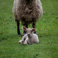 Berrington Hall - 06 April 2012