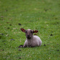 Berrington Hall - 06 April 2012