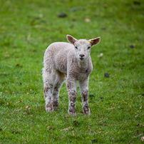 Berrington Hall - 06 April 2012