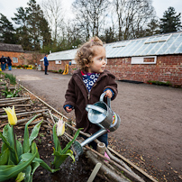 Attingham Park - 07 April 2012