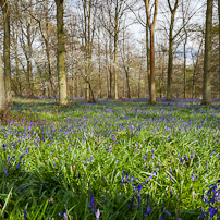 Greys Court - 14 April 2012