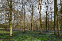 Greys Court - 14 April 2012