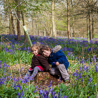 Greys Court - 14 April 2012