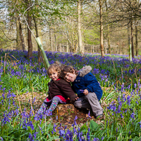 Greys Court - 14 April 2012