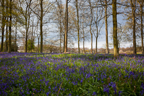 Greys Court - 14 April 2012