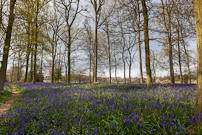 Greys Court - 14 April 2012