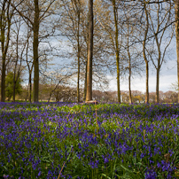 Greys Court - 14 April 2012