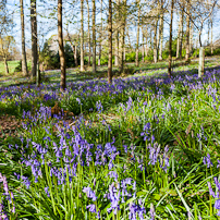 Greys Court - 15 April 2012