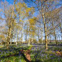 Greys Court - 15 April 2012