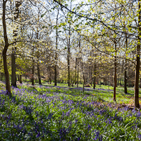 Greys Court - 15 April 2012