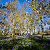 Greys Court - 15 April 2012