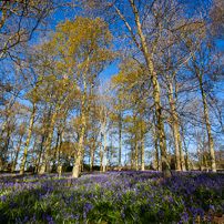 Greys Court - 15 April 2012