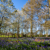 Greys Court - 15 April 2012