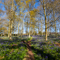 Greys Court - 15 April 2012