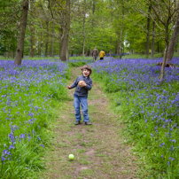 Henley-on-Thames - 13 May 2012