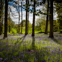 Henley-on-Thames - 13 May 2012