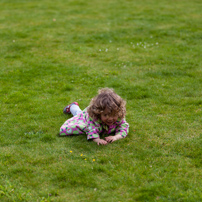 Greys Court - 19 May 2012