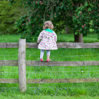 Greys Court - 19 May 2012