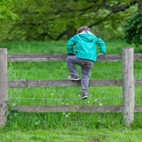 Greys Court - 19 May 2012