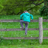 Greys Court - 19 May 2012