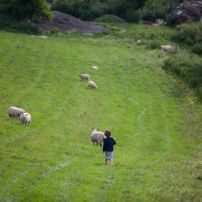 Leighton Buzzard - 11 August 2012