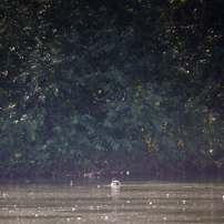 Hurley - 03 September 2012