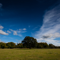 Odd's Farm - 06 October 2012