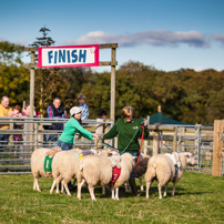 Odd's Farm - 06 October 2012