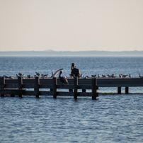 Cocoa Beach Florida - 03 November 2012