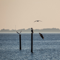 Cocoa Beach Florida - 03 November 2012