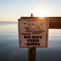 Cocoa Beach Florida - 03 November 2012